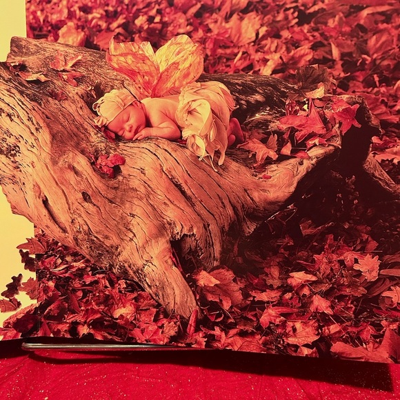 Vintage 1997 Anne Geddes baby photo album- beautiful memory maker-like new - Picture 5 of 8